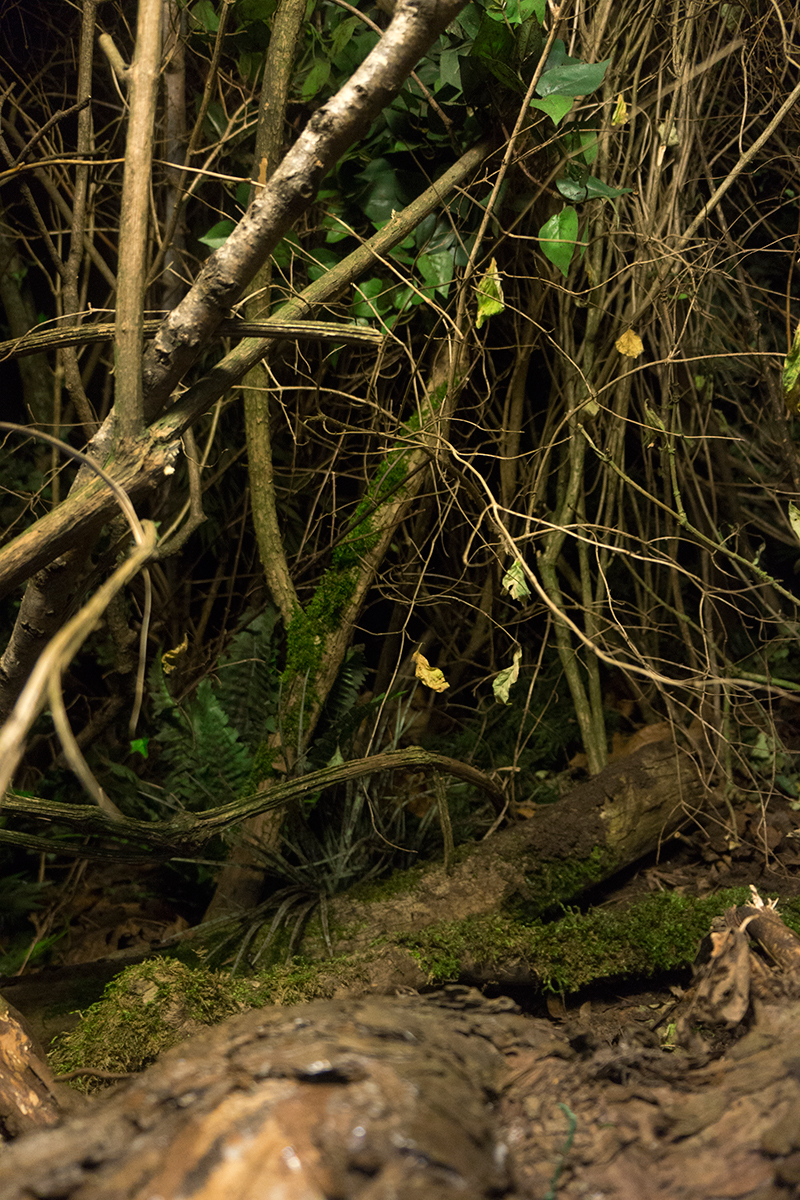 alvaro-urbano-untitled-2015-detail-2